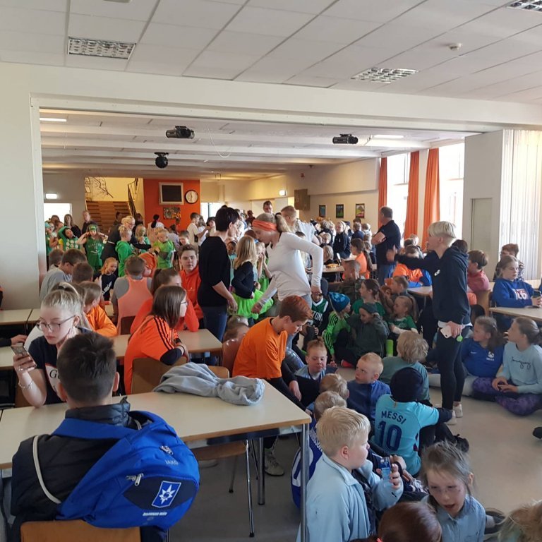 62022412_2319436488304062_8406890271324766208_n