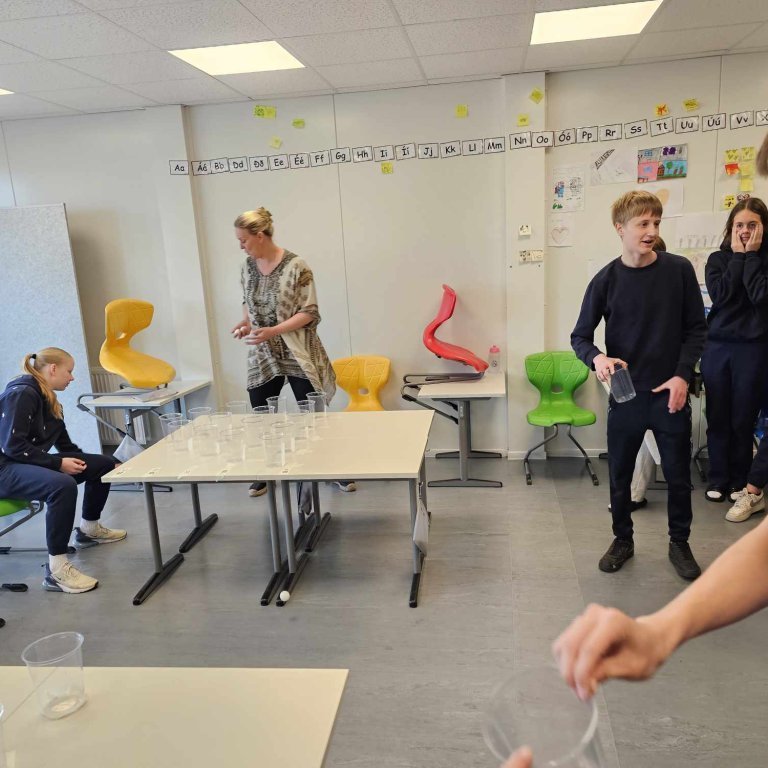 442553894_1018623276635597_2248780190720637557_n