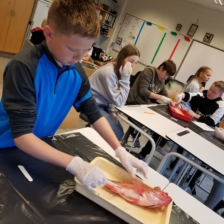 101581407_613876289477107_7243370694396870656_n