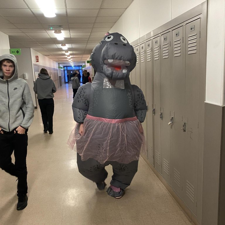 427976102_1341673346540657_5013543548451344641_n