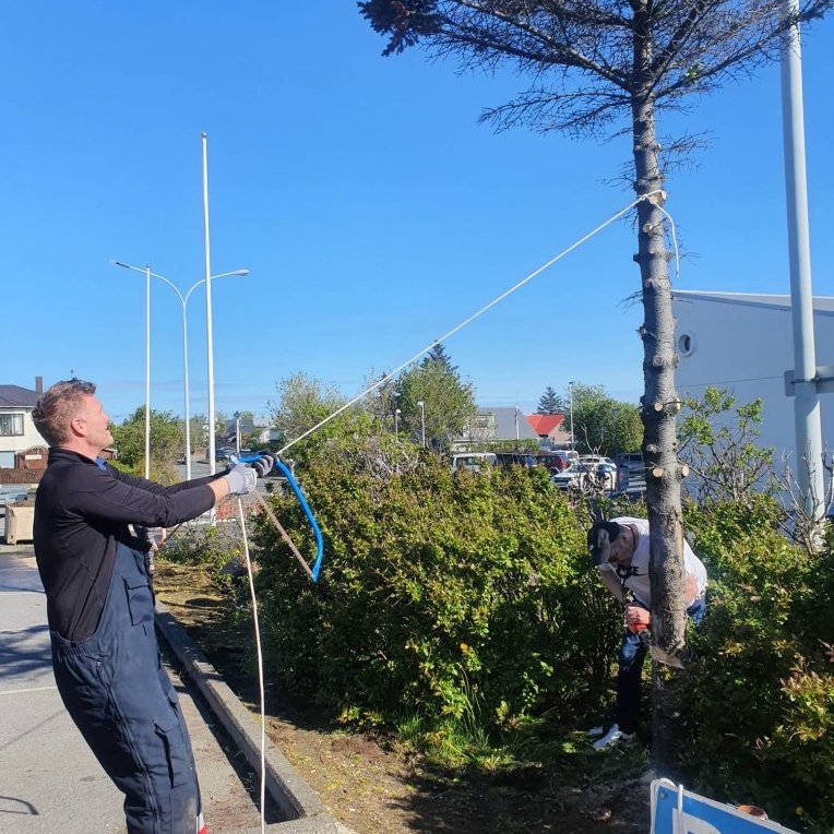 283627137_557943135969811_6932656348966453083_n