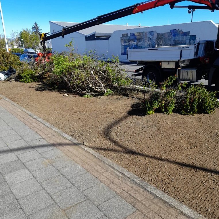 283798907_533575938305819_2260971079112582493_n