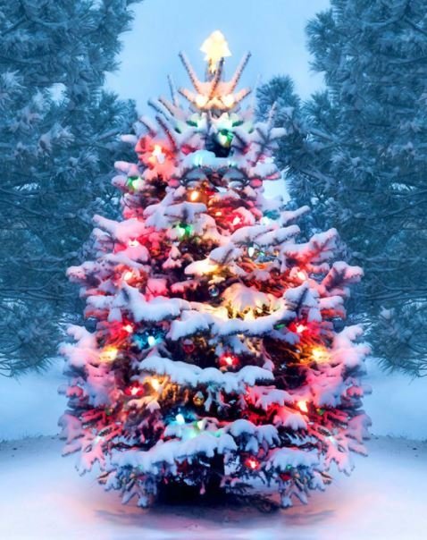 Breyting á skólastarfi