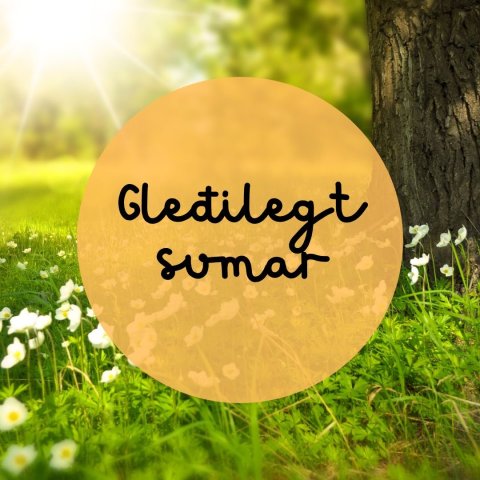 Sumardagurinn fyrsti og starfsdagur